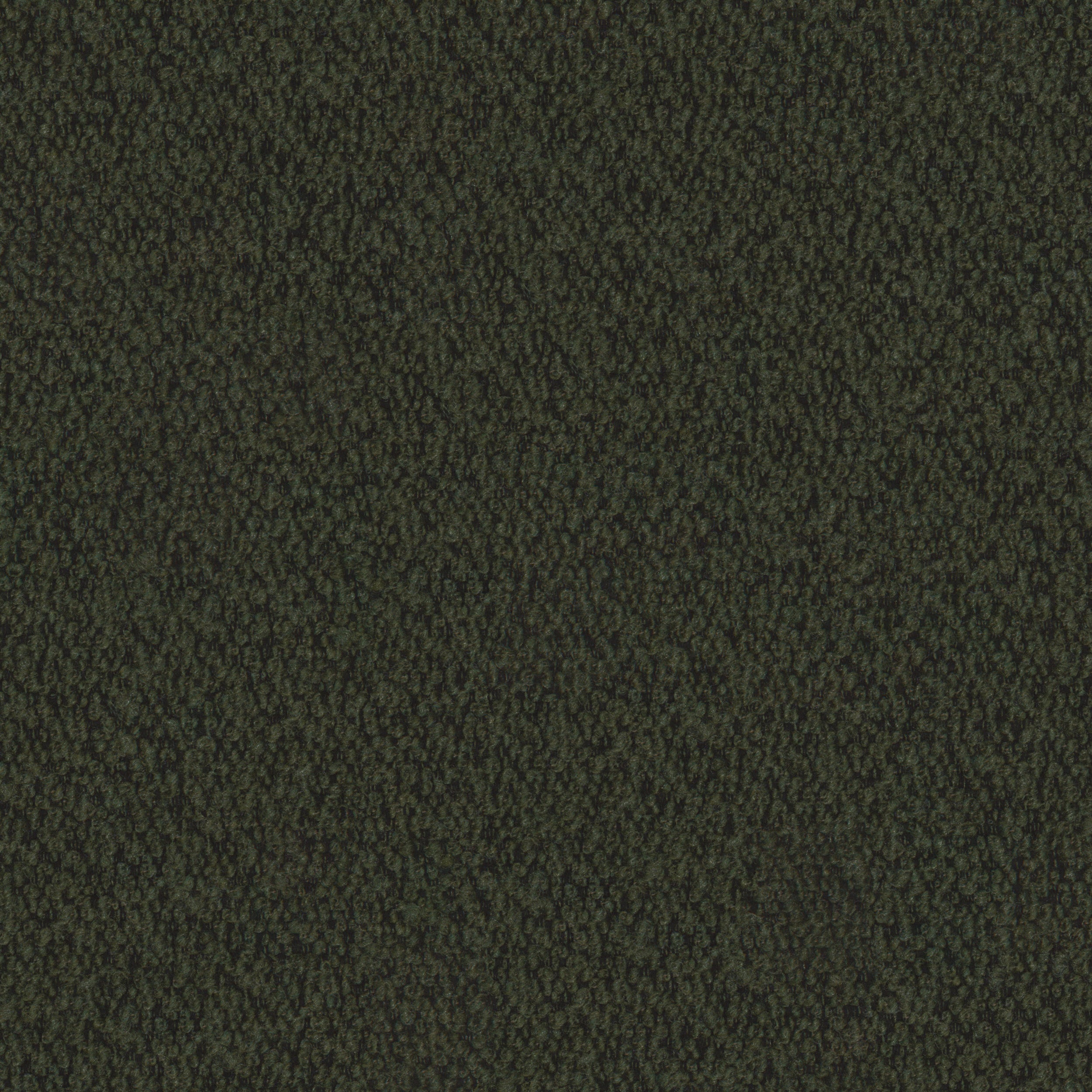 Fern Boucle Everest
