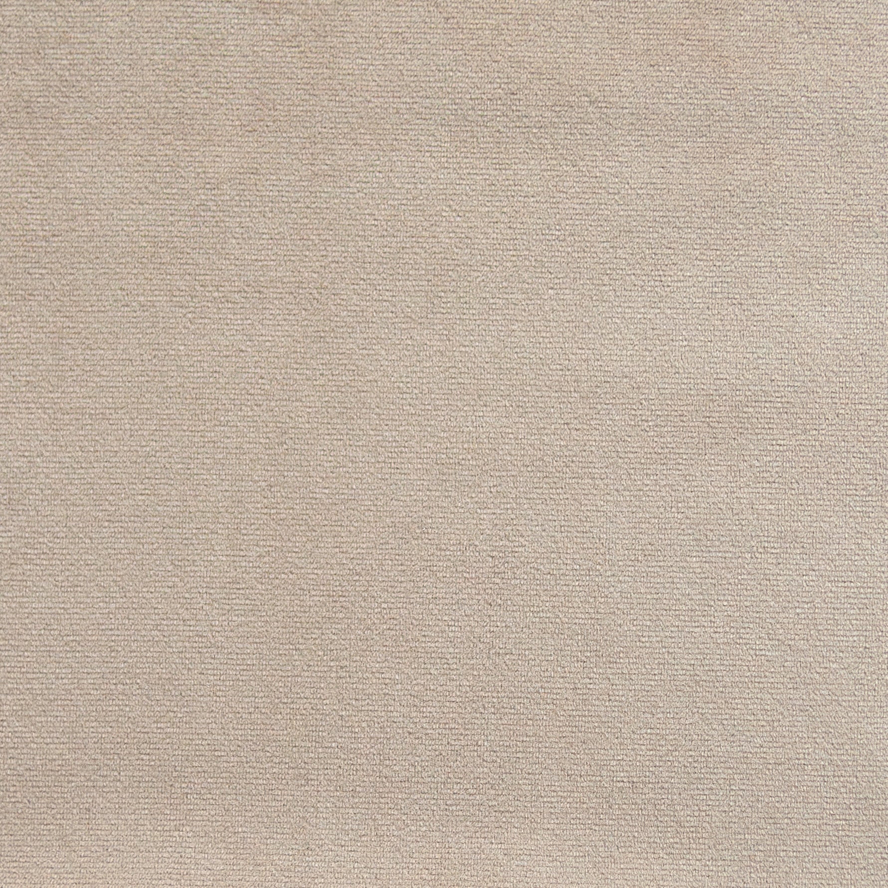 Beige Plush Velvet