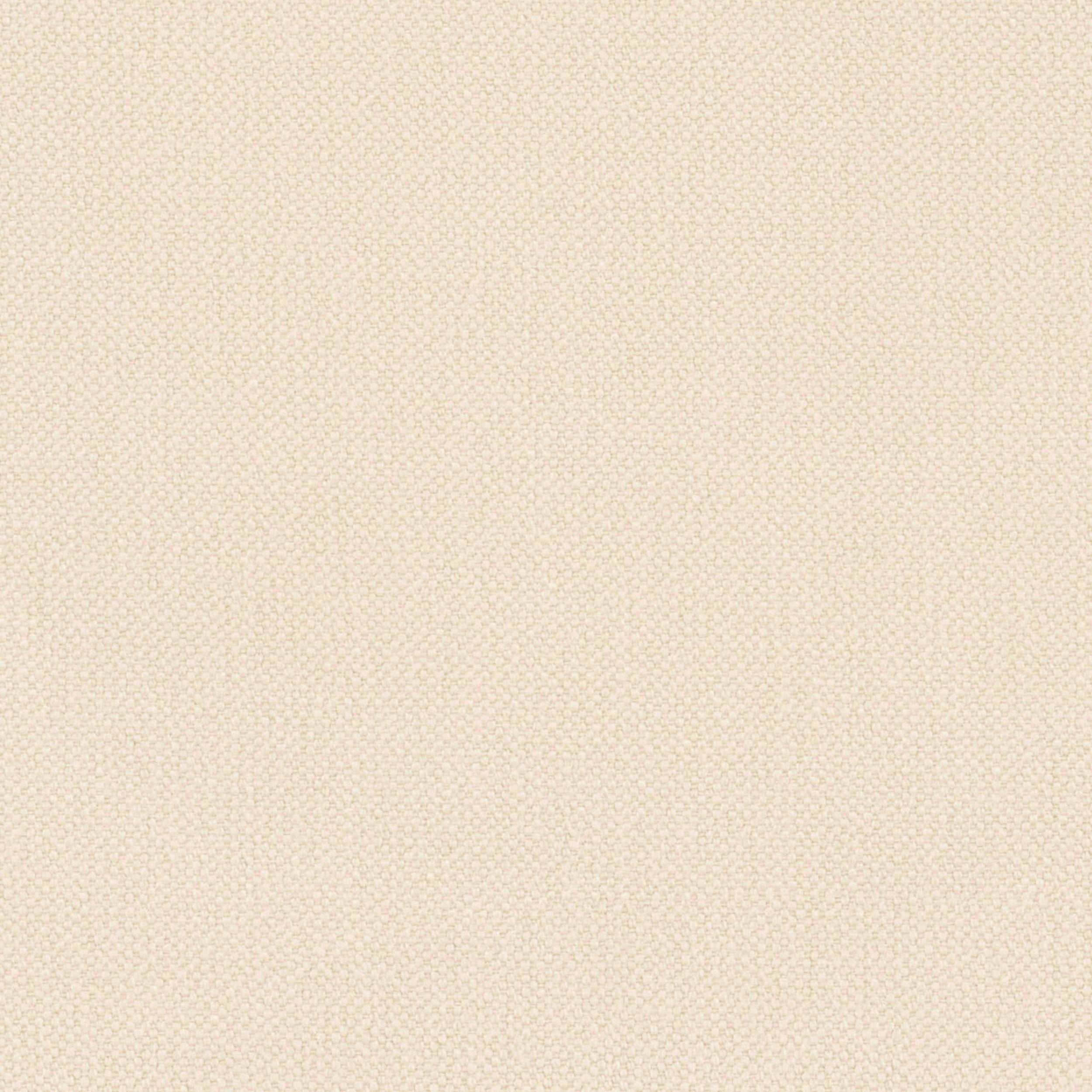 Ivory Oxford Cotton