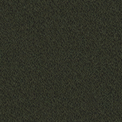 Fern Boucle Everest