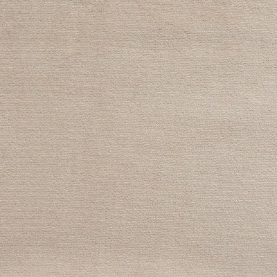 Beige Plush Velvet