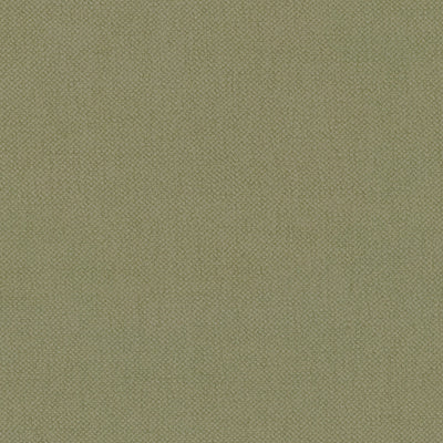 Celery Oxford Cotton