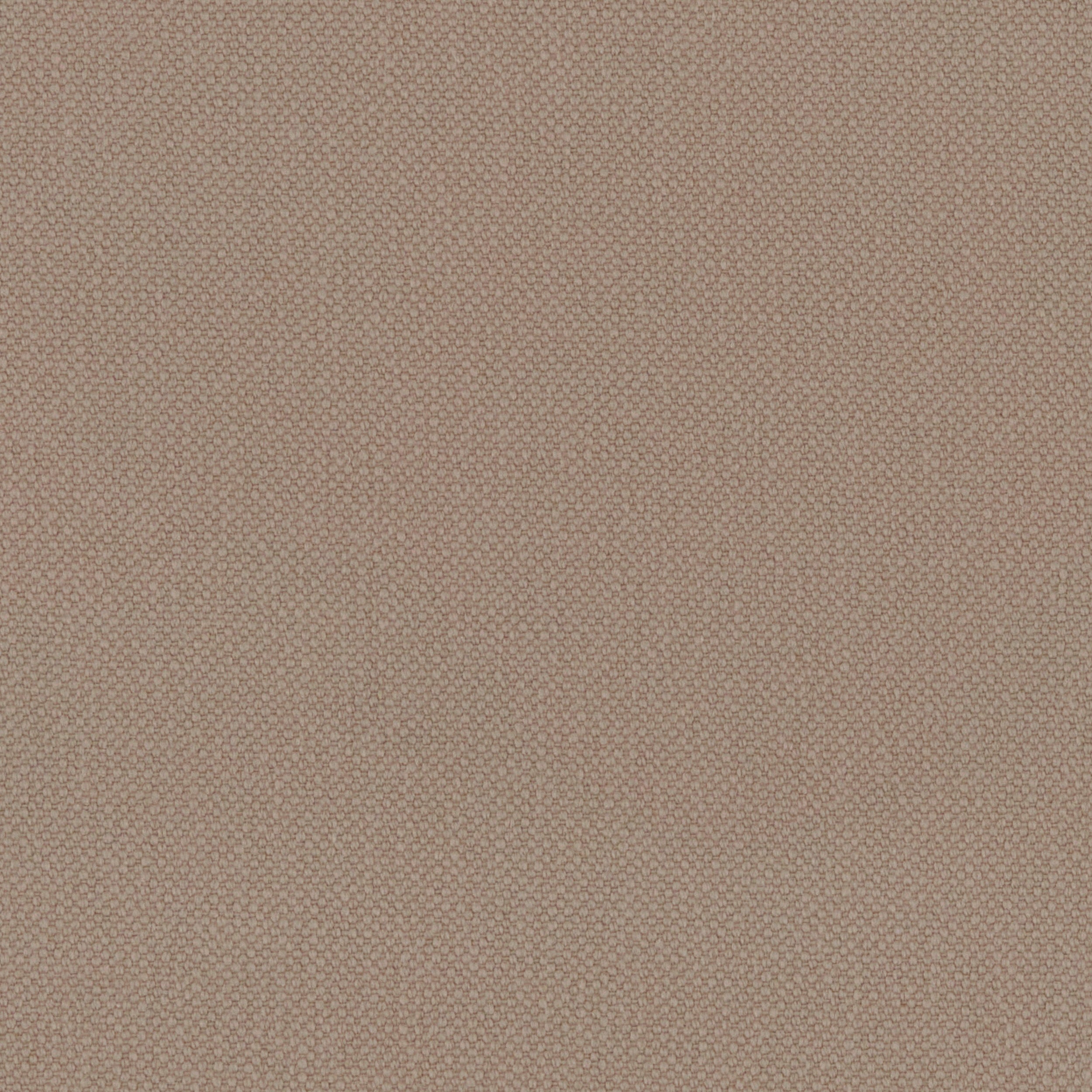 Desert Oxford Cotton