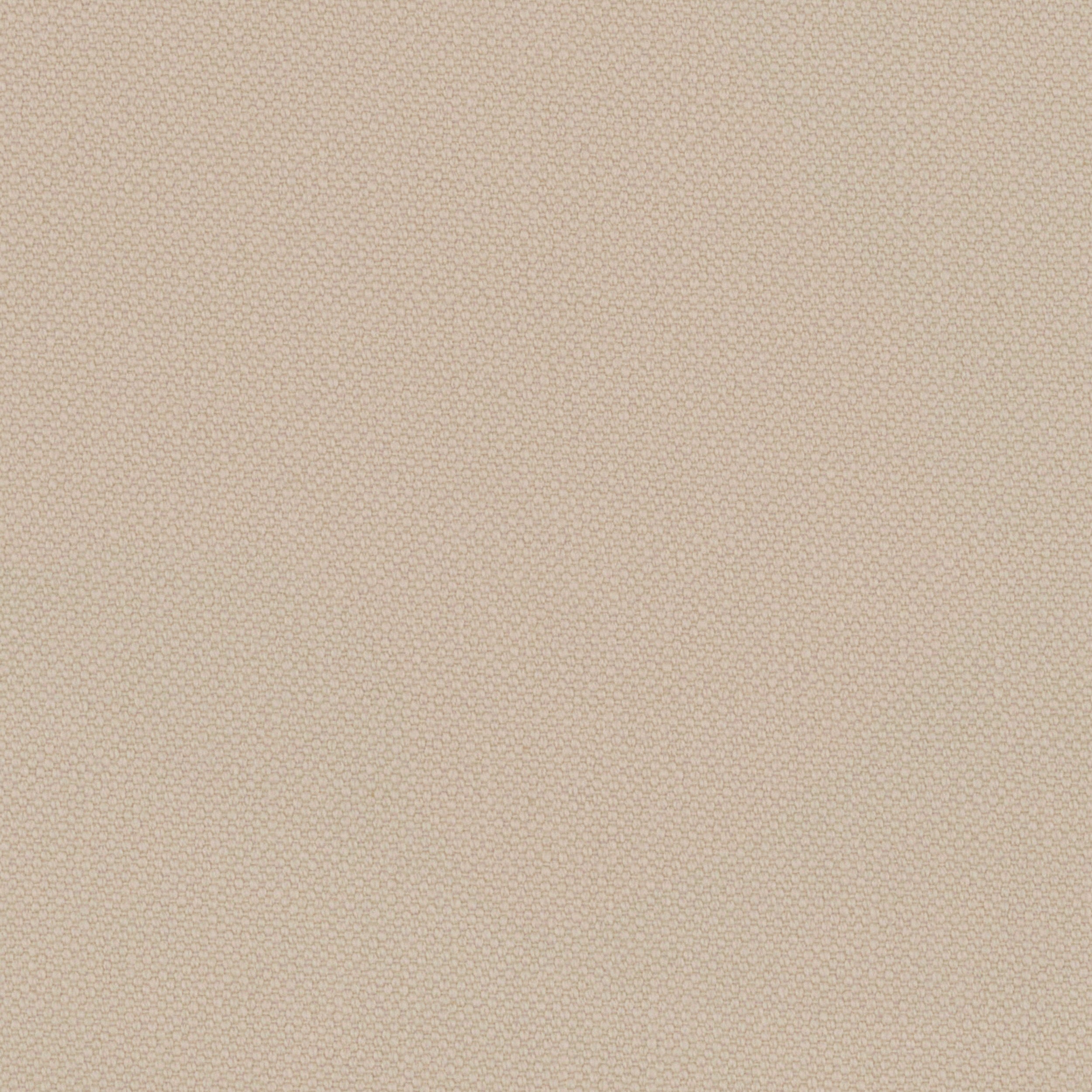 Ecru Oxford Cotton