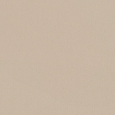 Ecru Oxford Cotton
