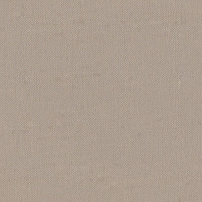 Natural Oxford Cotton
