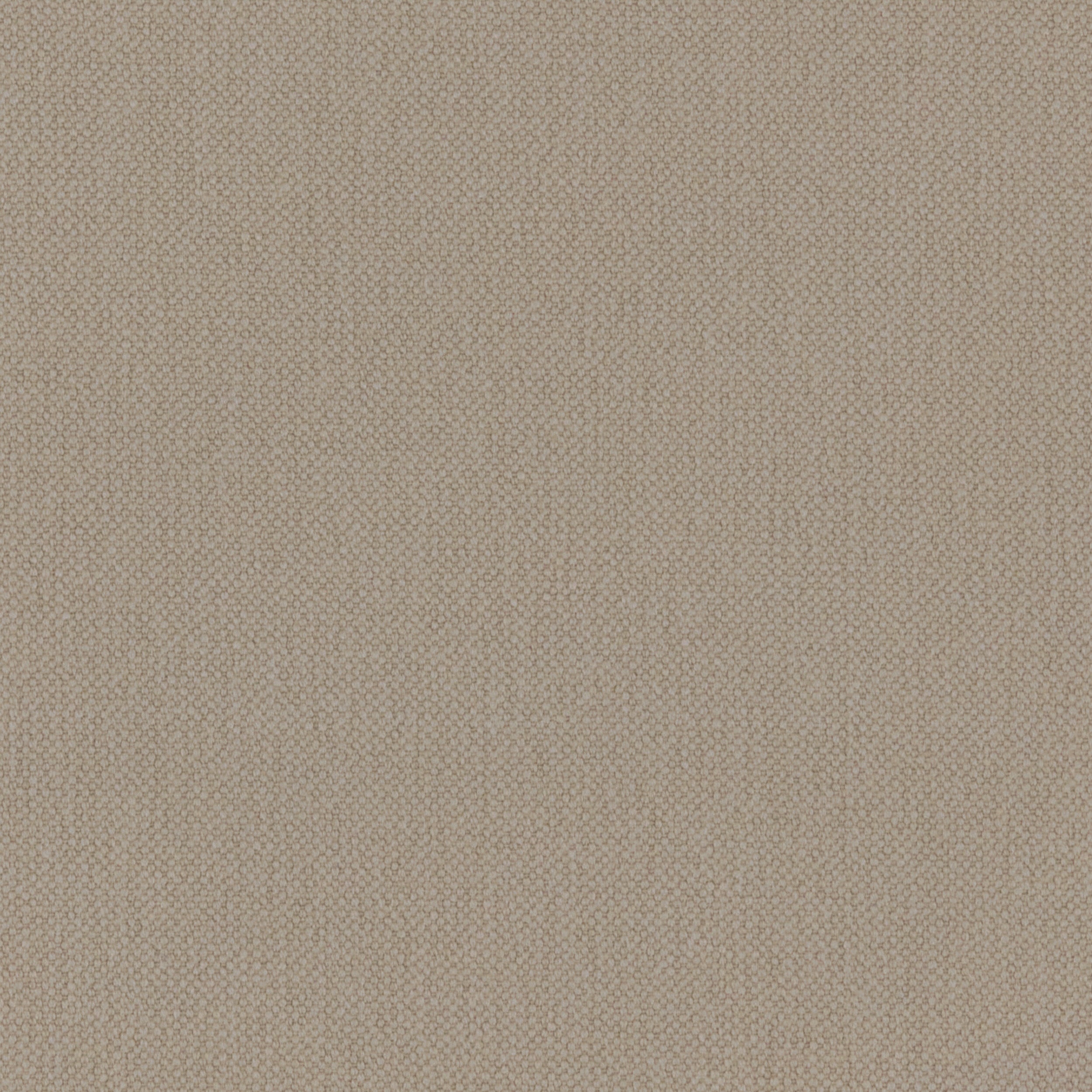 Stone Oxford Cotton
