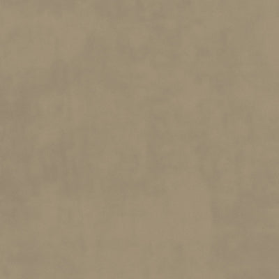Taupe Plush Velvet